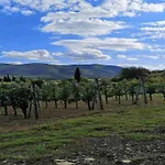 بيت للعطل Charming Stone Retreat كاستيجليون فيورنتينو